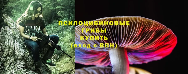 mdpv Волоколамск