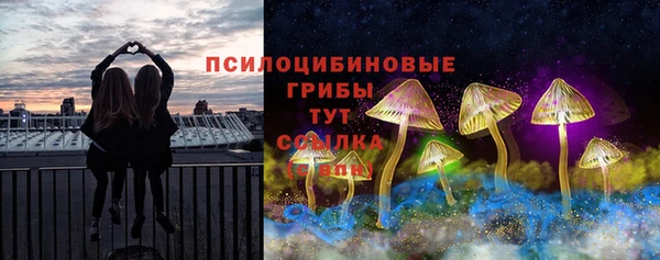 mdpv Волоколамск