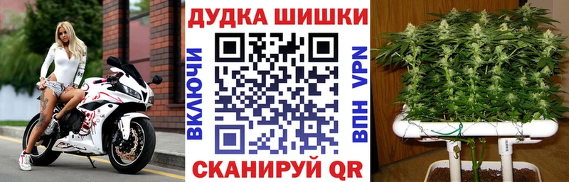 Конопля марихуана  Луза 